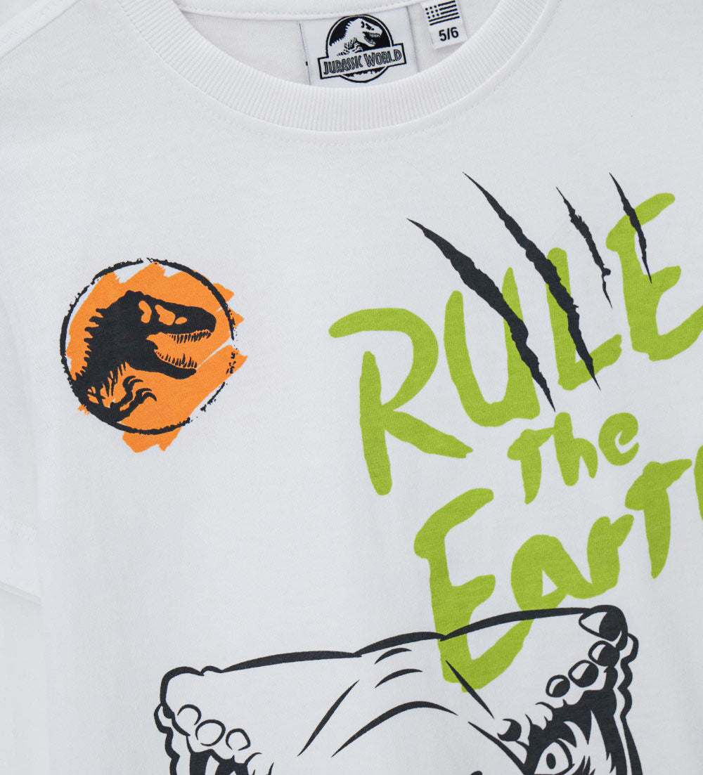 DFPV2263CM - T-Shirt Mm