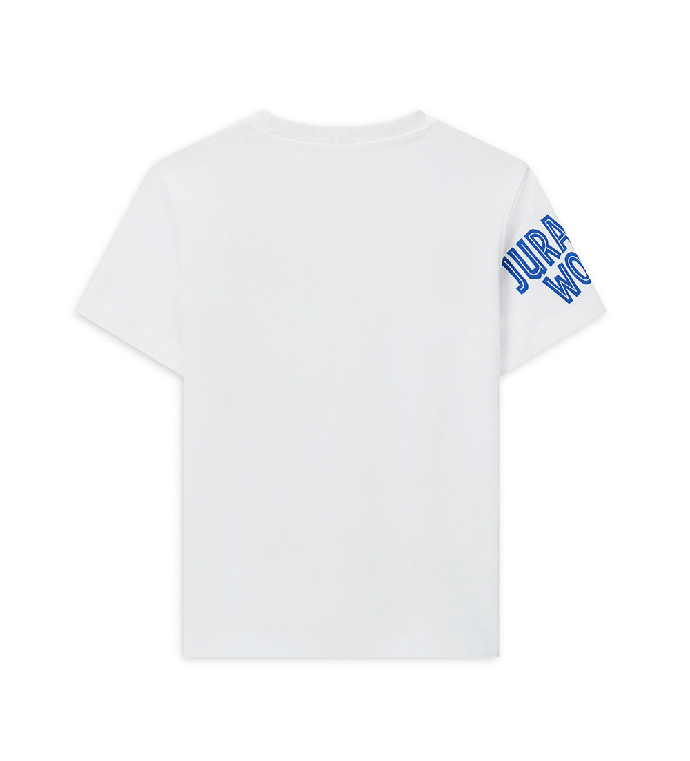 DFPV2263CM - T-Shirt Mm